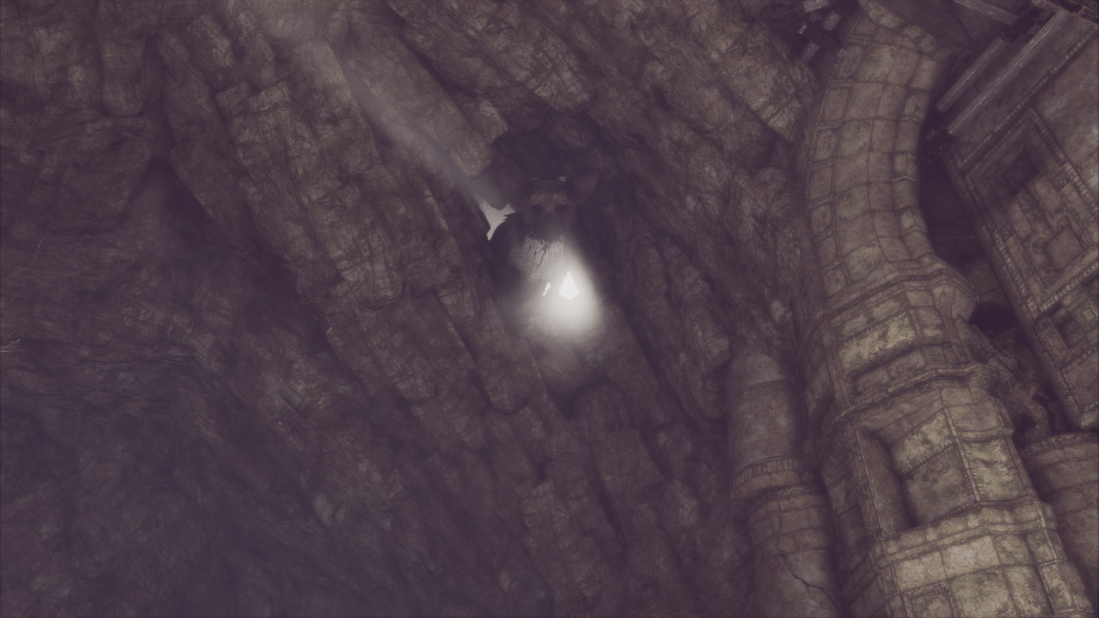 The Last Guardian - 3