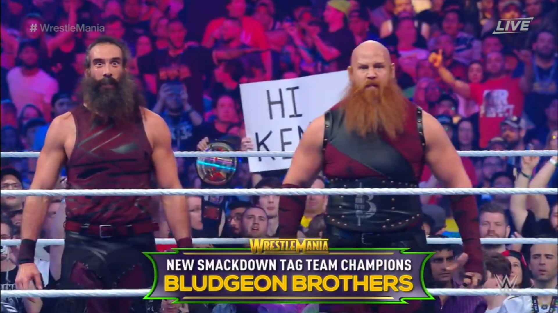 Wrestlemania - 14.png