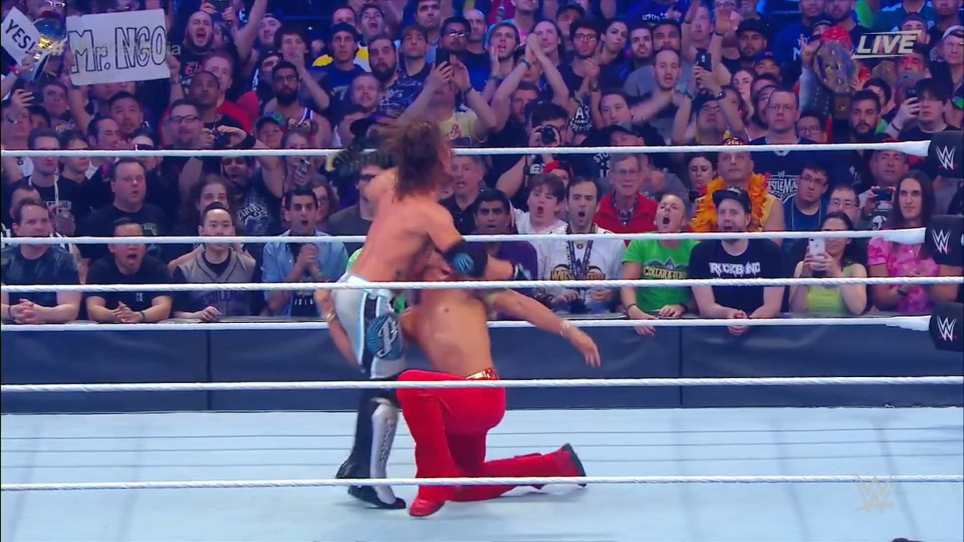 Wrestlemania - 21.png